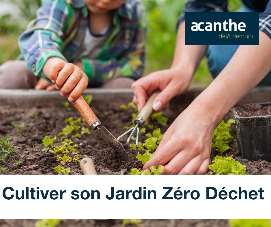 Cultiver son Jardin Zéro Déchet - Acanthe terrain