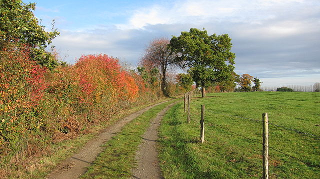 Argentré Du Plessis Sentier